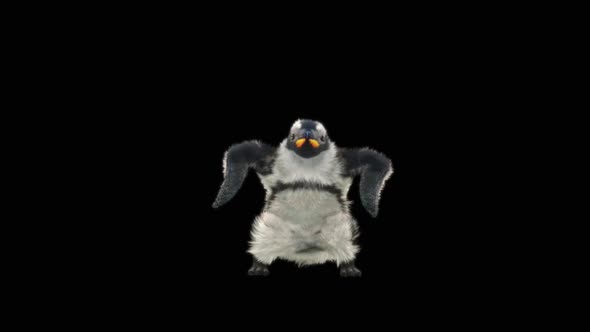 Penguin Dancing HD alt