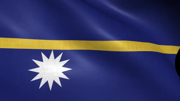 Nauru Flag alt