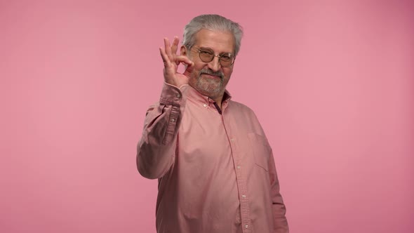 Portrait of an Elderly Man with Glasses Looks Seriously at the Camera Then Smiles and Making Sign Ok alt