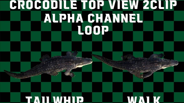 Crocodile 2 Clip Alpha Loop