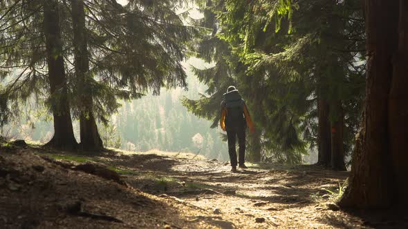 A Man with a Backpack Travels in a Beautiful Forest alt