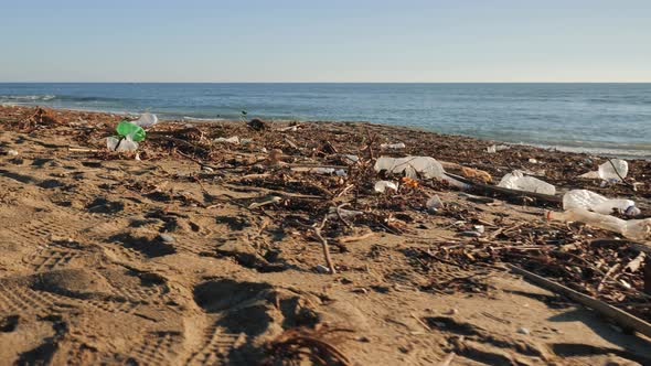 Plastic garbage on beach alt