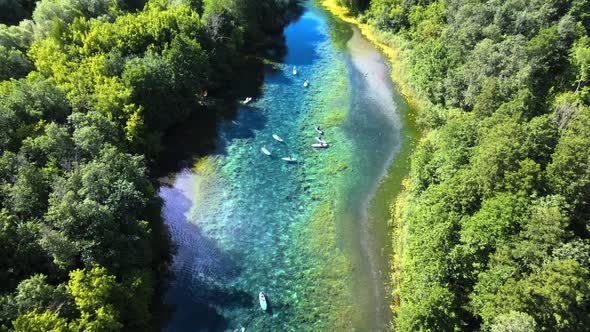 Team is rowing on forest river. Clean air and clear water in a protected area alt