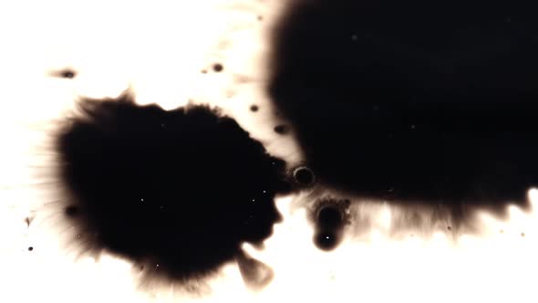 Stock footage of ink blot splashes alt