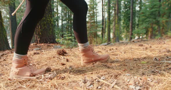 Woman Walking By Coniferous Forest. Slow Motion Outdoor Travel and Fall Nature alt
