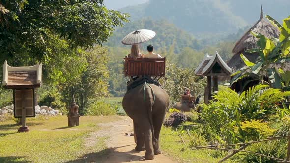 Elephant Village in Remote Asian Area. alt