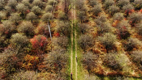 Aerial view cute girls having ride together in rural landscape 4k