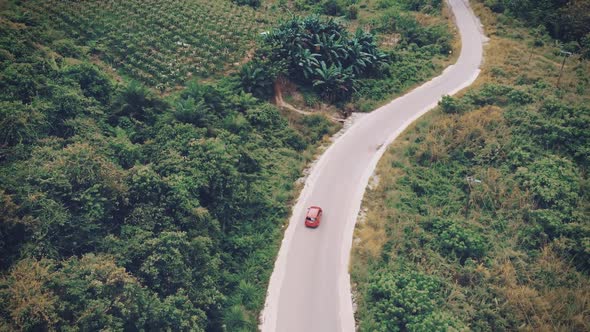 Cinematic aerial view clip of a moving car on a road trip on a road in between trees and nature