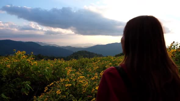 Slow motion of a woman looking at Mexican sunflower in the park and a beautiful mountain views