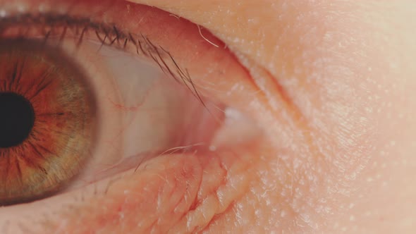 Human Eye with Long Eyelashes with Mascara
