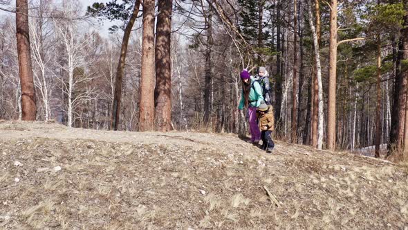 Aerial View of Young Active Mother with Two Young Sons Hiking in the Mountains in Spring alt