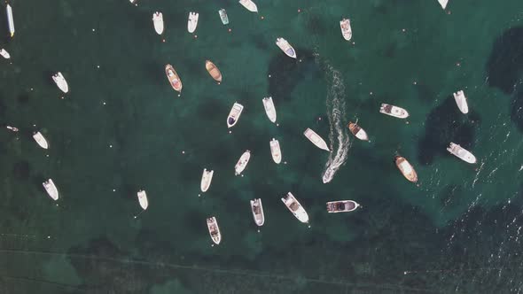 Aerial view of sailing boats in Procchio, Elba Island, Italy. alt
