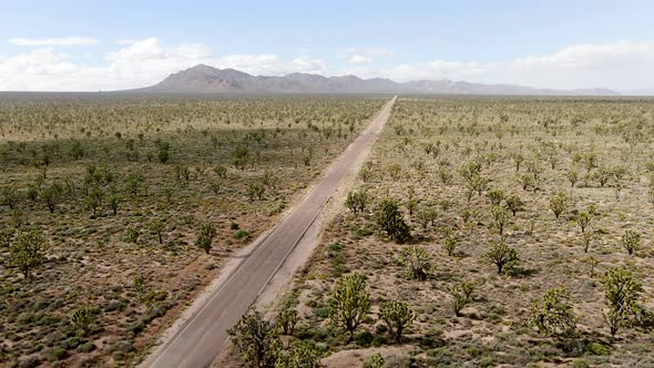 Aerial View of Endless Desert Straight Dusty Asphalt Road in Joshua Tree Park. USA. alt