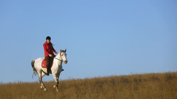 Horsewoman Riding a Horse Galloping Across the Field alt