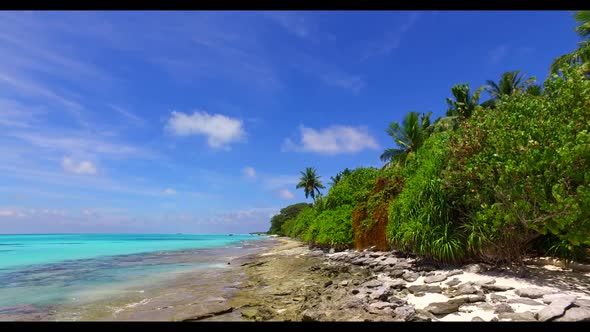 Aerial view tourism of idyllic shore beach wildlife by transparent sea with white sand background of alt