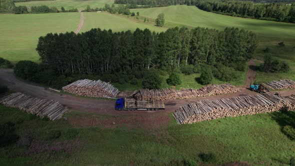 The Deforestation of Siberia Economic and Environmental Problems in Russian Forest Management alt