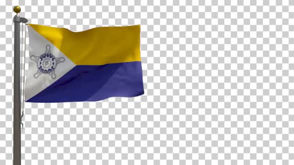 United States Secret Service Flag (USA) on Flagpole with Alpha Channel - 4K alt