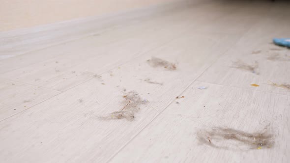 Cleaning Wooden Floor From Hair with Soft Mop in Light Room alt