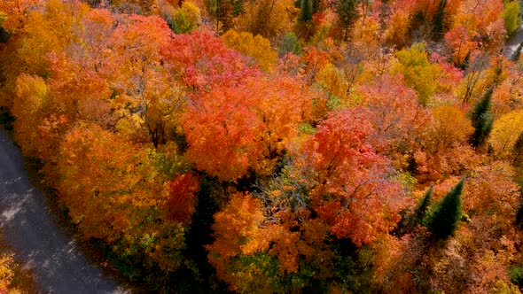4K camera drone captures stunning autumn foliage colors.