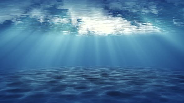 Seabed view underwater