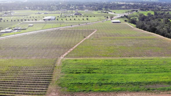 Aerial View of a Farm Crops in Australia