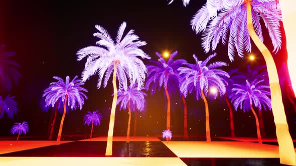 Dream Palm Trees