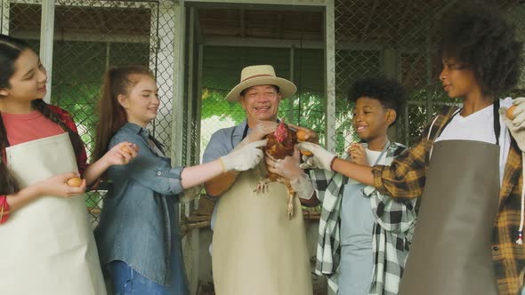 Children play uncle farmer's hen in agriculture and livestock education.