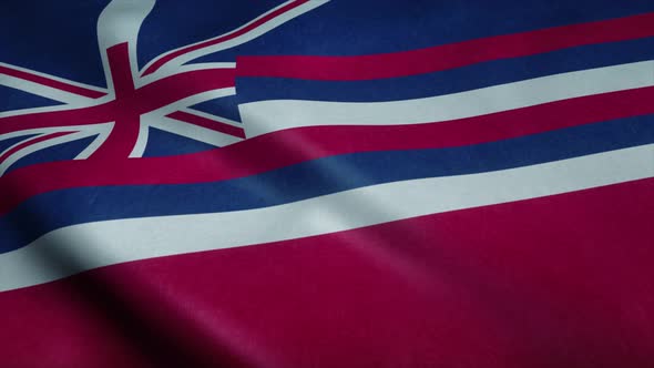State Flag of Hawaii Waving in the Wind alt