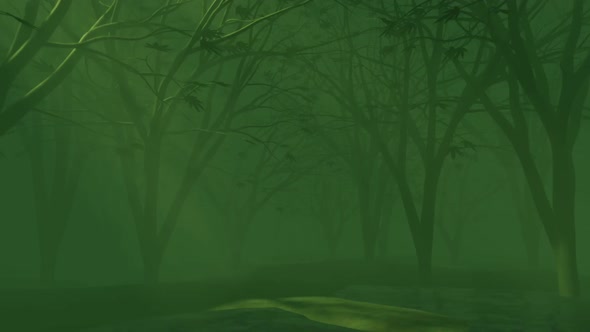 The rays of the sun during sunrise in the mysterious green misty forest, nature looped background alt