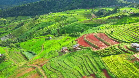 Aerial view of drones flying over rice terraces alt