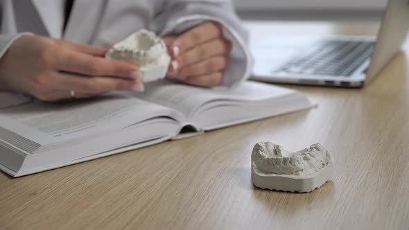 Orthodontist Doctor Sitting Workspace Indicates Problem Teeth Maxilla Plaster Ingot Reading Book alt