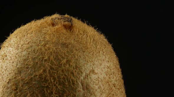 kiwi fruit on black background alt