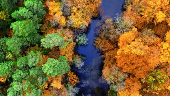 Top down view of colorful autumn forest and river alt
