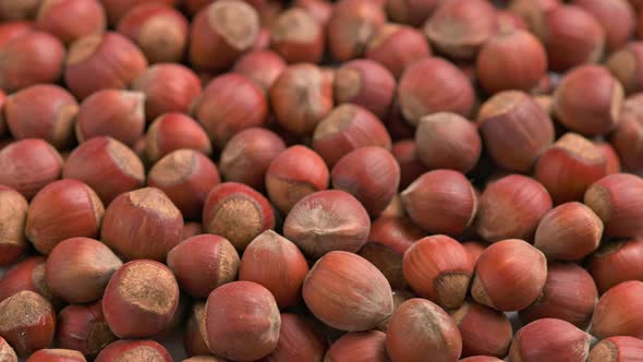 Looped Spinning Hazelnuts with the Shell Closeup Full Frame Background alt