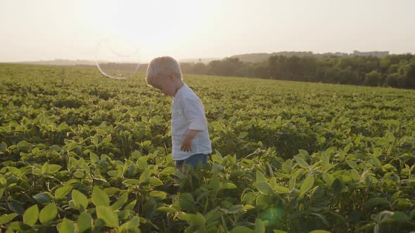 Child a Handsome Boy Plays in a Field in the Summer He Catches Blowing Soap Bubbles alt