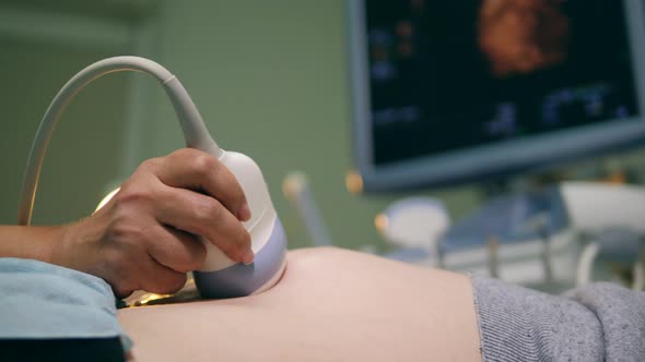 Medical Detector During an Ultrasonic Scanning alt