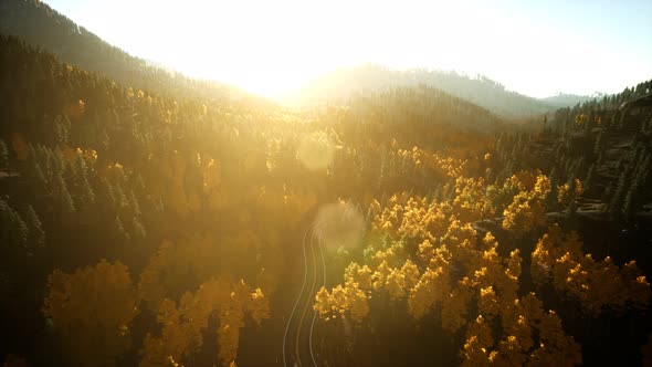 Aerial Drone View Flight Over Pine Tree Forest in Mountain at Sunset alt