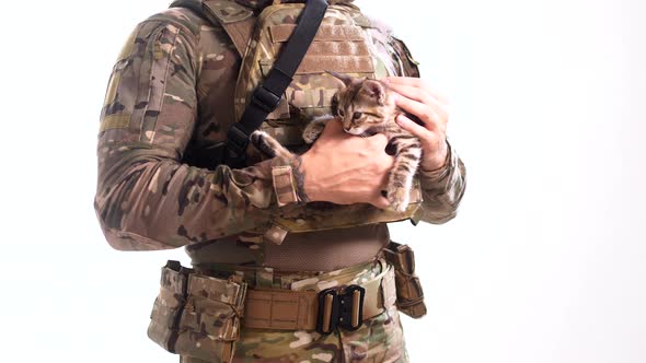 Soldier in a military field uniform holds a cute little kitten and strokes it