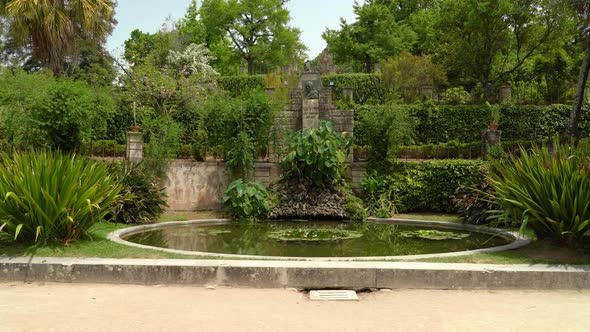 Beautiful Pond in Botanical Garden of the University of Coimbra alt