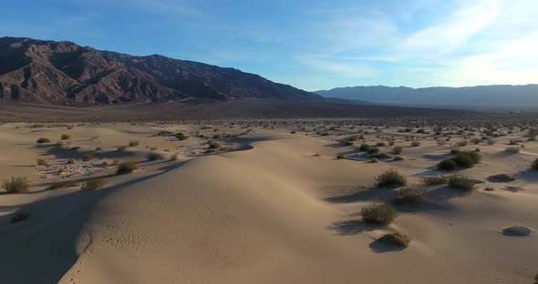 Flying over Joshua trees, Mojave desert, California