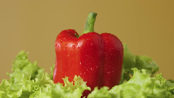Curly Green Lettuce Leaves and Red Bell Peppers in Water Drops Rotate on a Brown Studio Background alt