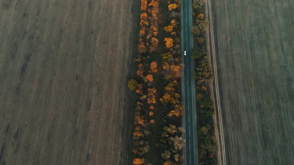 Aerial View of a Lone White Car Driving on a Rural Highway Surrounded By Fields at Sunset alt