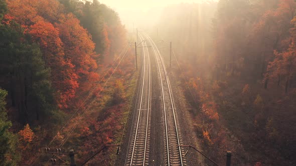 Aerial View of Railroad in Colorful Forest at Foggy Sunrise