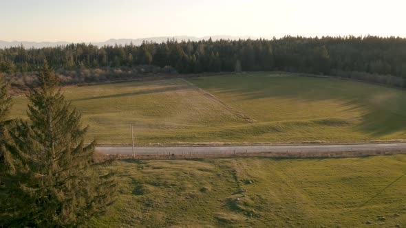 aerial video of a black truck speeding on a dirt road in the middle of a forest Sunshine Coast Briti alt