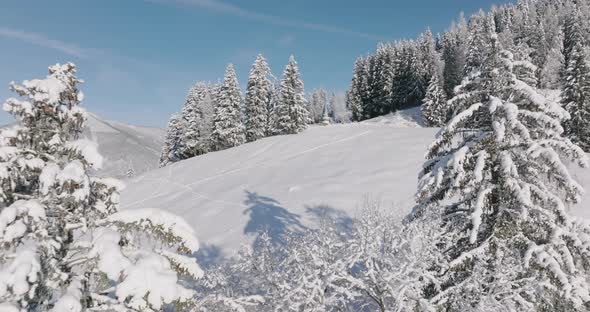 Drone Through Forests On Kitzsteinhorn Mountain alt