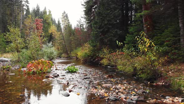 Aerial shot down a rocky mountain creek with trees on the bank with fall colors. alt