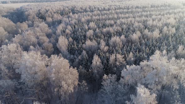 Winter Landscape in Countryside alt