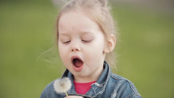 Charming Little Girl Blowing Dandelion While Walking