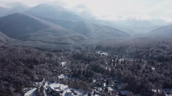 Cottages In The Woods