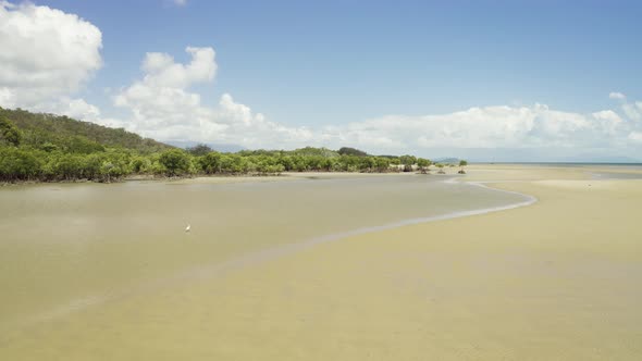 Aerial, Low Tide And Huge Sand Ocean Bed, Mangroves Growing 